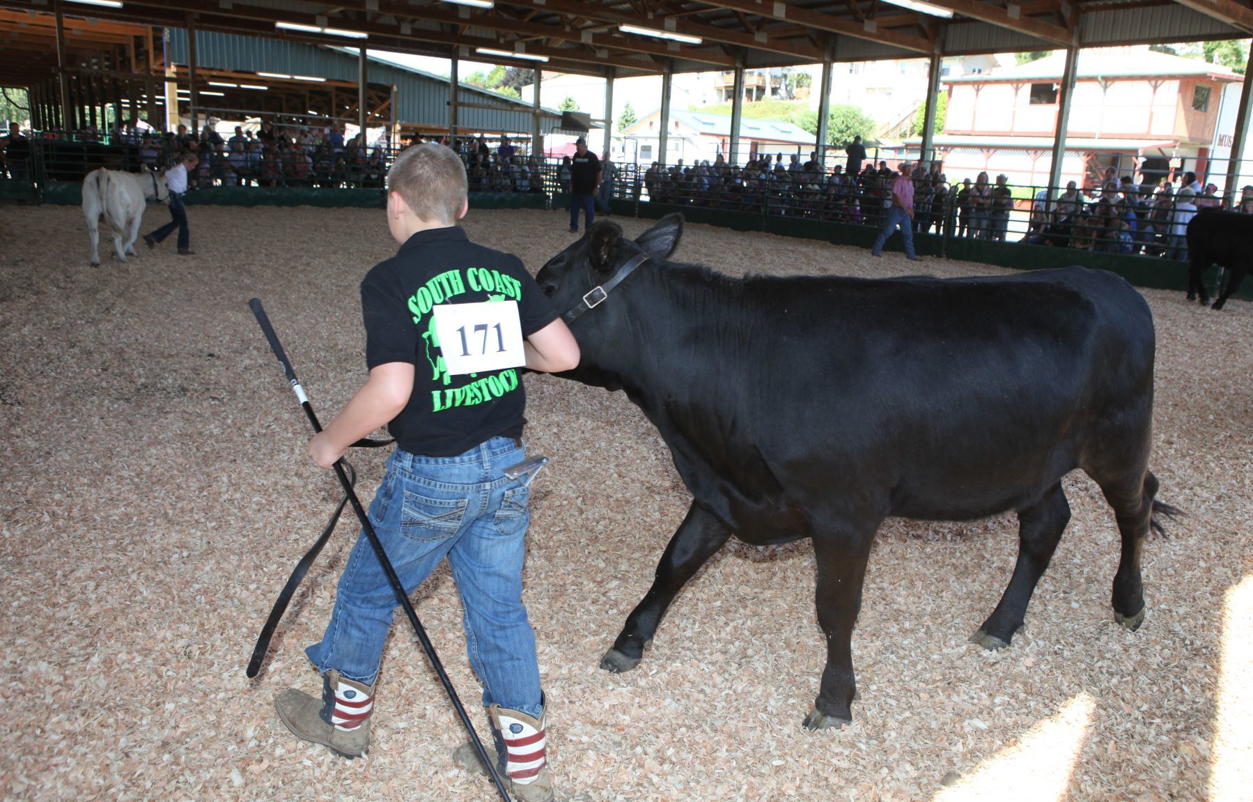 Boy with steer